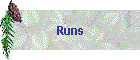 Runs